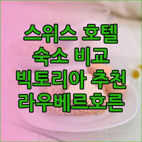 스위스 여행 숙소 완벽정복 호텔 빅토리아 라우베르호른 오벌란트 유스호스텔 비교분석?