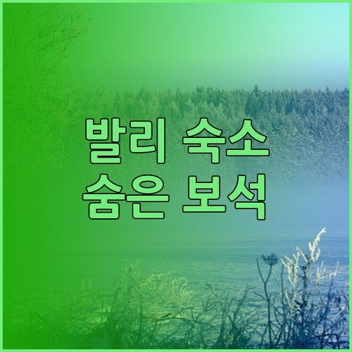 발리 배두굴 숨은 보석같은 숙소 The Polumb Garden Bedugul 럭셔리와 자연의 조화