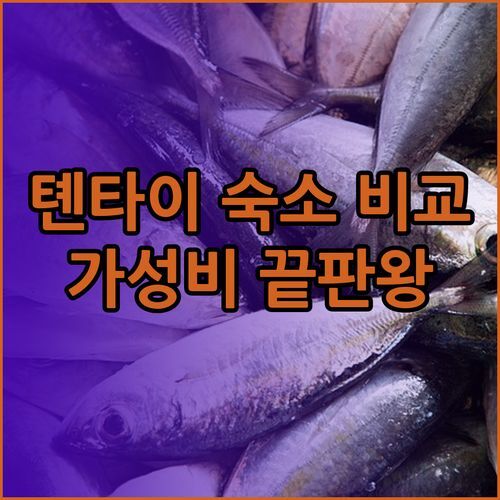 가성비 갑? 톈타이 숙소 3곳 비교 후기.. 키린호텔 라마다호텔 톈타이호텔 중 어디가 좋을까?