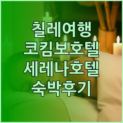 칠레 코킴보 여행 호텔 추천 세레나 스위트 파크 호텔 숙박 후기는?!