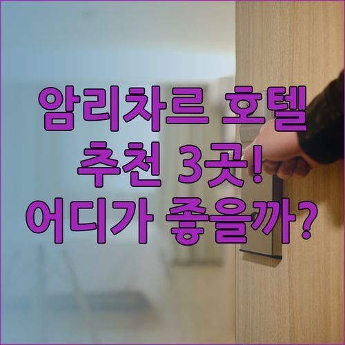 암리차르 공항 근처 호텔 추천 3곳.. 어디가 좋을까? 홀리데이 인과 라마다 비교분석!