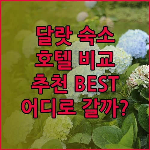 달랏 숙소 고민은 이제 그만! 더 핑크 부티크 호텔 VS Le Gia HBT Dalat VS TTR 스카이풀 뷰 호텔 비교분석