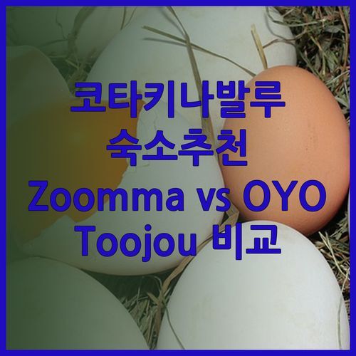 코타키나발루 숙소 고민중이세요? Zoomma Marina Court Condo 와 OYO 963 호텔 오리엔탈, Toojou 코타키나발루 중 어디가 좋을까?