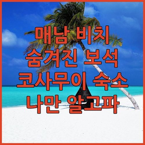 매남 비치🏖️ 숨겨진 보석, 이스케이프 비치 리조트!🌅 나만 알고 싶은 코사무이 숙소 공개!