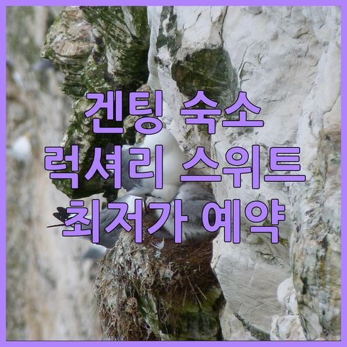겐팅 하이랜즈 럭셔리 숙소 추천 7Stonez 스위트 Geo38 지금 예약하면 혜택이 쏟아진다!