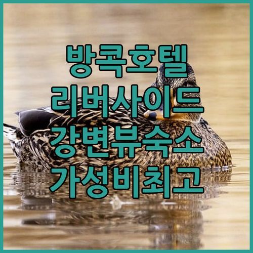 방콕 리버사이드 호텔 추천 더 쿼터 차오프라야 UHG 가성비 숙소! 짜오프라야 강변 뷰에 취하다