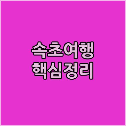 속초 펜션 응골 딸기마을! 설악산, 속초해수욕장, 워터피아, 중앙시장까지 한번에? 꿀팁 대방출!