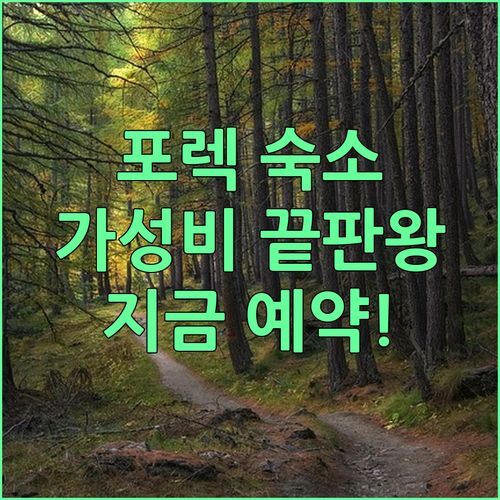 포렉 Apartments Ivicek! 가성비 끝판왕 숙소, 지금 바로 예약하세요!