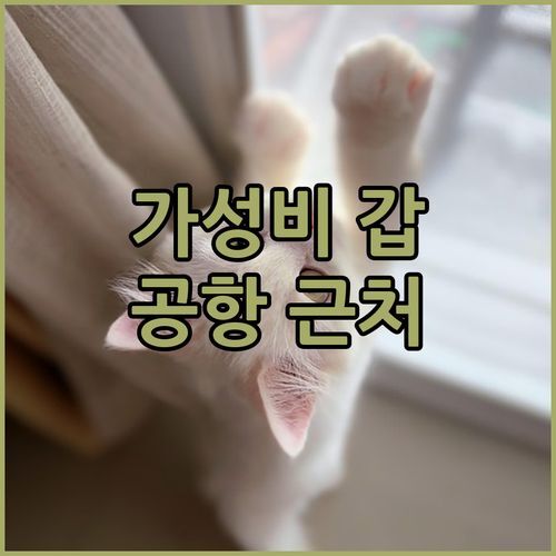쿠타 그랜드마스 플러스 호텔 에어포트 후기 가성비 갑! 공항 근처 깔끔한 숙소는 여기!