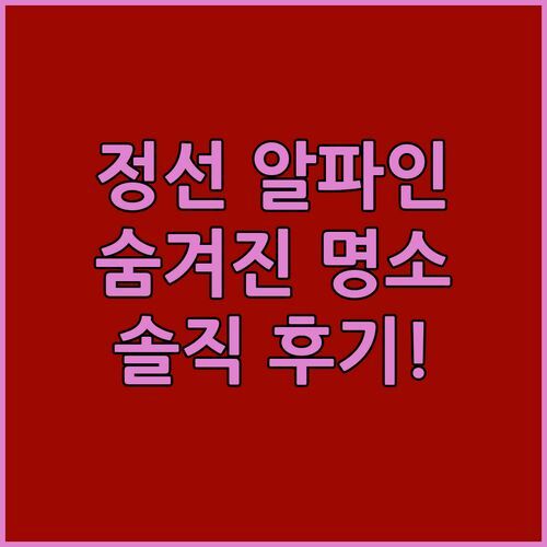 정선 파인 포레스트 알파인 리조트! 숨겨진 힐링 명소? 솔직 후기!