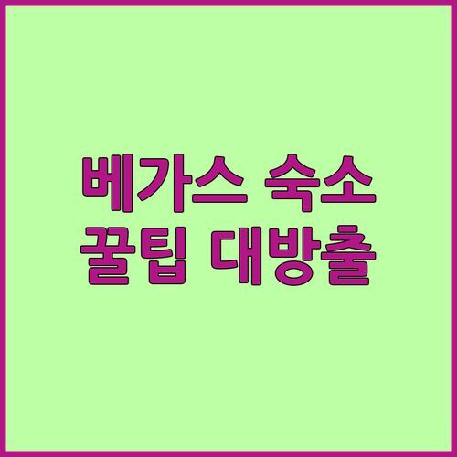 베가 여행, 어디서 묵을까? 내돈내산 숙소 리뷰 & 꿀팁 대방출!