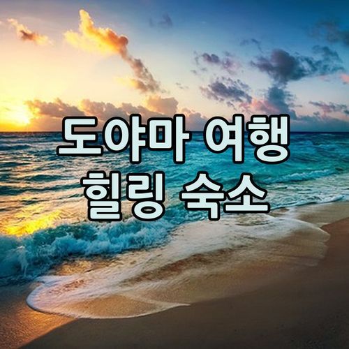 혼자 떠나는 도야마 힐링 여행! 가성비 갑 게스트하우스 시로이키세키에서 잊지 못할 추억 만들기!