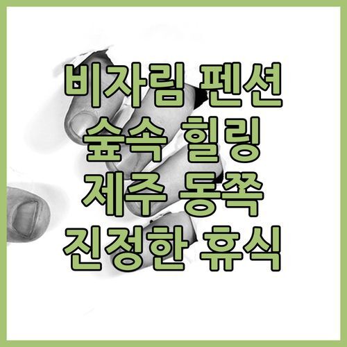 비자림 힐링 펜션! 제주 동쪽 숲속에서 즐기는 진정한 휴식!