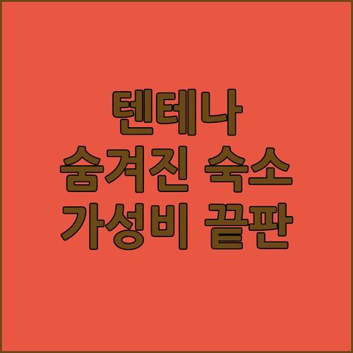 텐테나 Amadeo 게스트하우스 숨겨진 보석 같은 숙소! 가성비 끝판왕?