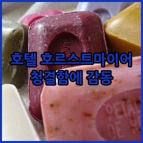 코크라네 Hotel HORSTMEYER 숙박 후기! 청결함에 감동🥰