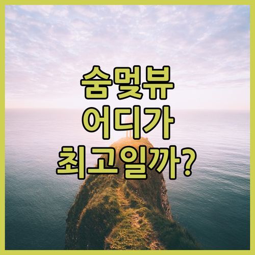 숨멎는 거제도 남부면 뷰! 비커밍펜션 & 디디몰 펜션, 당신의 선택은?