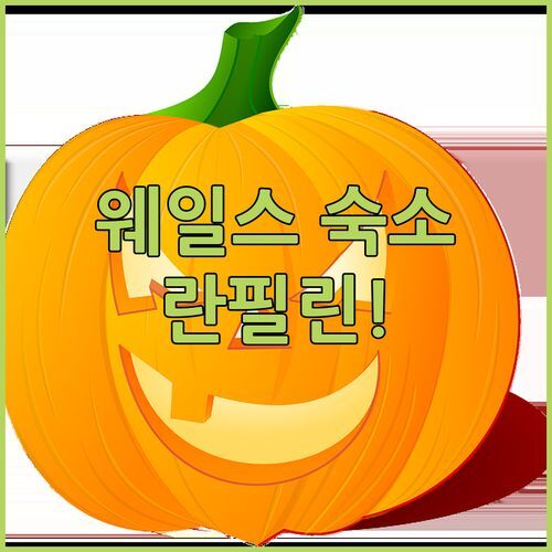 올드 뉴 인, 란필린! 웨일스 전통과 편안함이 공존하는 숙소! 어때?