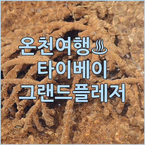 🧖‍♀️ 나만의 온천을 타이베이에서! 그랜드 플레저 스프링 호텔 완전정복 🧖‍♂️
