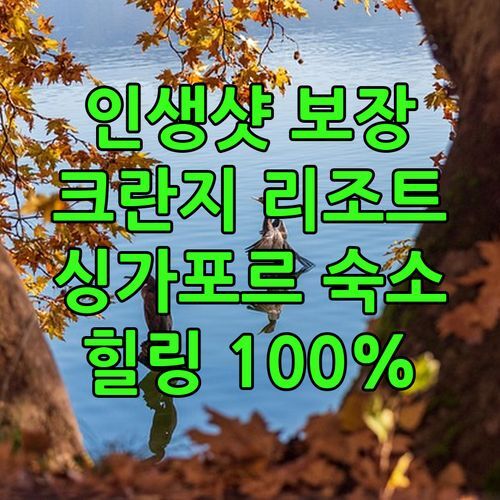 싱가포르 크란지 생추어리 리조트! 인생샷 보장! 힐링 숙소 추천!