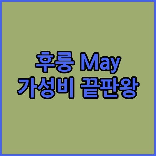 후룽 May Retreat 진짜 리얼 후기! 가성비 끝판왕, 3성급인데 9.7점?!