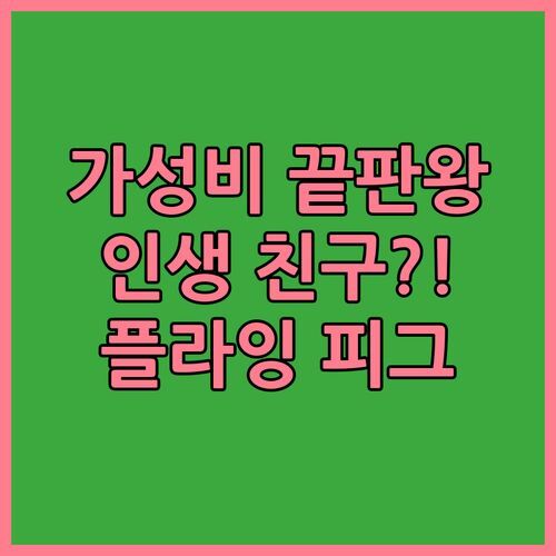 가성비 끝판왕! 플라잉 피그 비치 호스텔에서 인생 친구 만들기?!