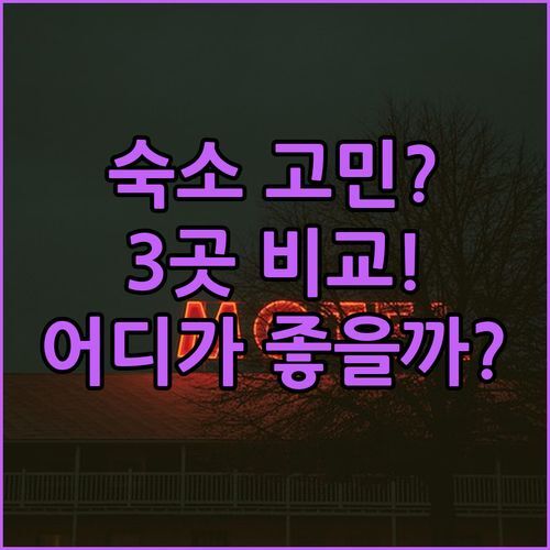 시디 압드 엘 라흐만 숙소 고민 끝! 아우라 리조트, ADDRESS BEACH MARASSI, Caesar Bay Resort 완벽 비교!