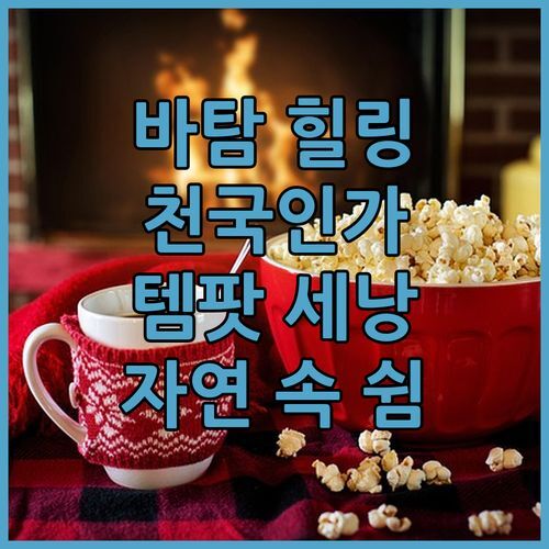 템팟 세낭 리조트🌿 바탐 힐링 끝판왕? 스파 & 자연 속 쉼! 여기가 천국?