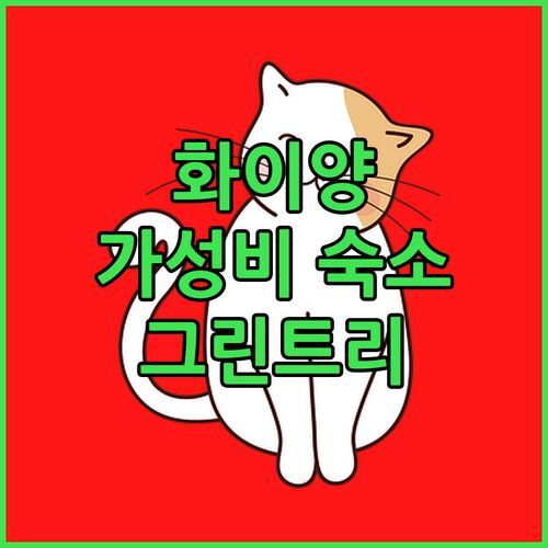 화이양 여행객 필독! 그린트리 인 호텔, 가성비 끝판왕 숙소일까?