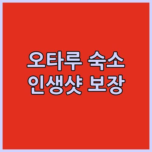 오타루 숙소 고민 끝! Garden House Umenoya Otaru.. 인생샷 보장, 최고의 선택📸