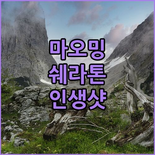 마오밍 럭셔리 끝판왕👑 쉐라톤 온천 리조트! 인생샷 보장 각?