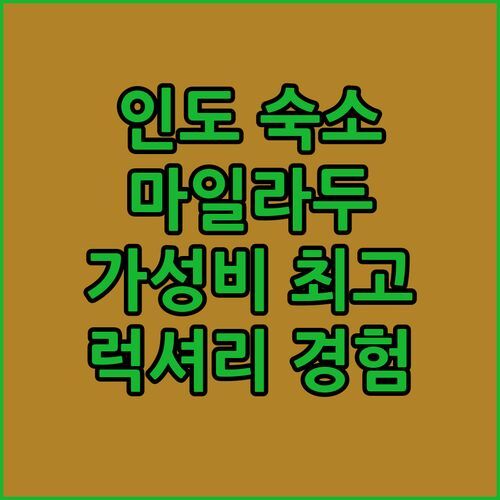인도 마일라두투라이 숙소 추천 Sri Ram Guest House! 5성급 럭셔리를 이 가격에?