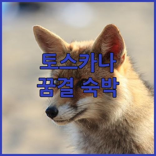 토스카나 여행은 포데레 스페달로네에서 꿈결같은 하루를 Podere Spedalone 숙박 리뷰