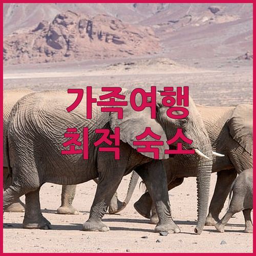 일로코스 어반 웨이브 리조트 가족 여행객에게 완벽한 숙소 추천