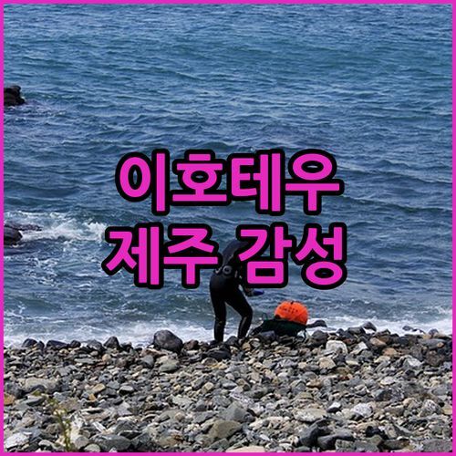 이호테우해변 1분 컷! 두꺼비의 빛 독채민박에서 잊지 못할 제주 감성!