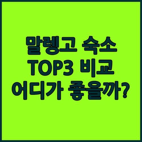 말렝고 숙소 TOP3! Haus Nummer 9, Hotel Paradies, Das Sonnenheim 비교 분석!