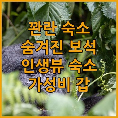 꽌란의 숨겨진 보석, White’s house! 가성비 갑 숙소에서 인생뷰를 만끽해보세요!