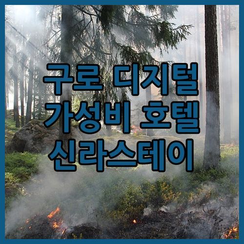 구로 디지털단지 가성비 호텔 신라스테이 구로 숙박 후기!