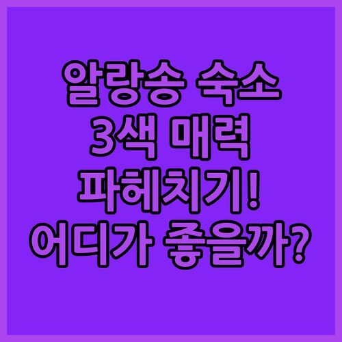 알랑송 3色 매력 숙소 추천 이비스 알렌콘 Studio Napoléon Les Deux Marguerite 파헤치기!