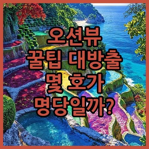 다네가시마 이와사키 호텔 숨겨진 꿀팁! 진짜 오션뷰는 몇 호?!🏖️