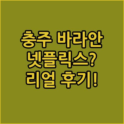 충주 바라안 호텔 숙박 후기 넷플릭스 시청 가능? 리얼 후기 대방출!