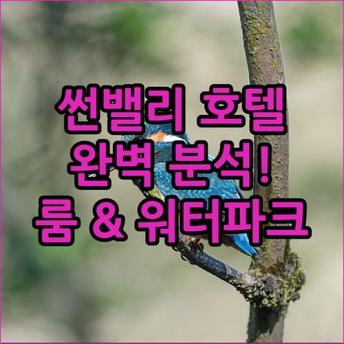 여주 썬밸리 호텔 완전 분석! 워터파크, 남한강 뷰, 룸 종류까지 완벽 정리