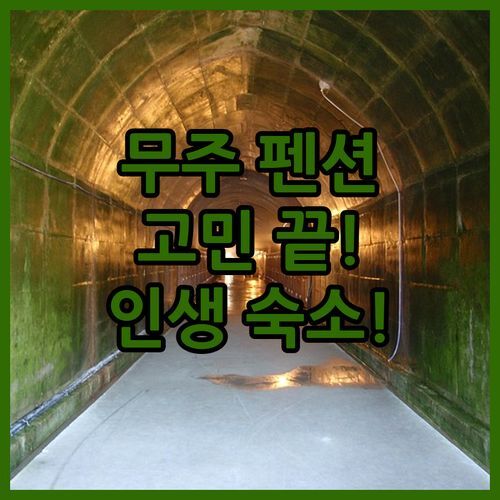 무주 펜션 고민 끝! 구천동가는길카라반펜션, 나봄리조트, 더스위트펜션&글램핑 비교분석! 여기서 인생 숙소 찾았다!