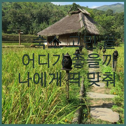 싱가포르 여행 숙소 고민 끝! 럭색 인 vs 호텔 보스, 나에게 딱 맞는 곳은 어디?