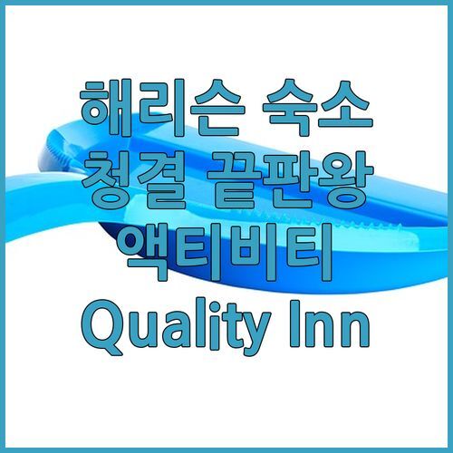 해리슨 숙소 추천! 청결 끝판왕에 액티비티 천국? Quality Inn 파헤치기!