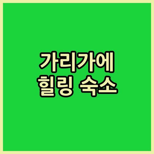 세인트 라파엘 가리가에 도멘 드 레스테렐! 스파, 수영장 다 있네? 힐링 숙소 추천 🌿