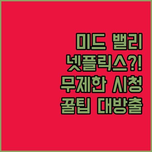 미드 밸리 스튜디오 아파트, 넷플릭스 무제한 시청?!🤫 현지인이 알려주는 꿀팁!