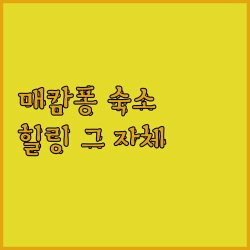 매캄퐁 Baanmaipai Tiamta, 숲속 힐링 숙소🏡! 친절한 사장님의 감동적인 서비스🥰 놓치지 마세요!