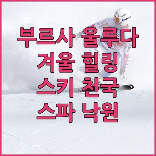부르사 울루다그 스위소텔? 겨울 힐링 끝판왕! 스키 & 스파 천국!