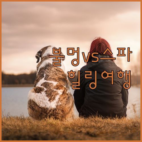 불멍 vs 스파♨️ 당신의 선택은? 횡성 숲속의사랑별펜션에서 힐링 여행!