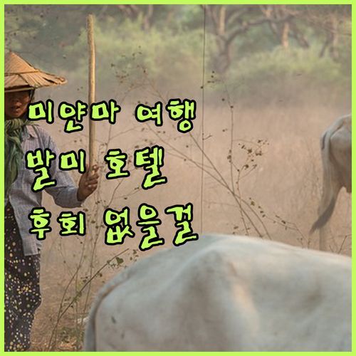 미얀마 여행, 호텔 발미 선택하면 후회는 절대 없을걸요? 실제 투숙객 생생 후기!